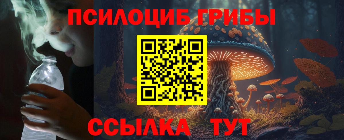 Энгельс  Галлюциногенные грибы MAGIC MUSHROOMS  Вход с VPN 