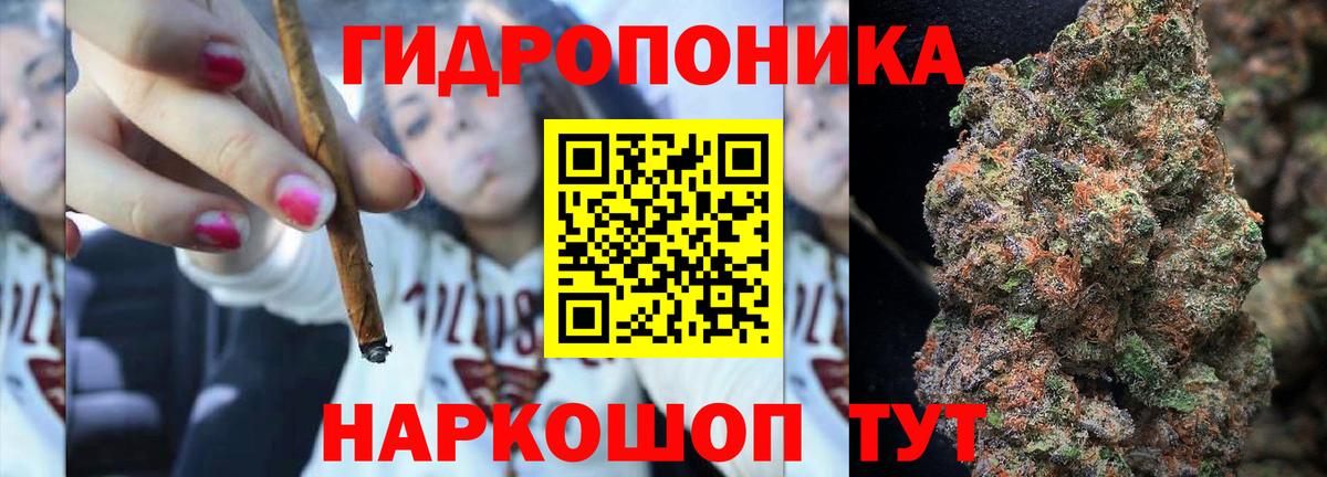 Шишки марихуана OG Kush Энгельс
